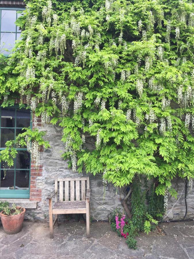The Stable Yard House At Burtown House & Gardens Villa Athy Eksteriør billede